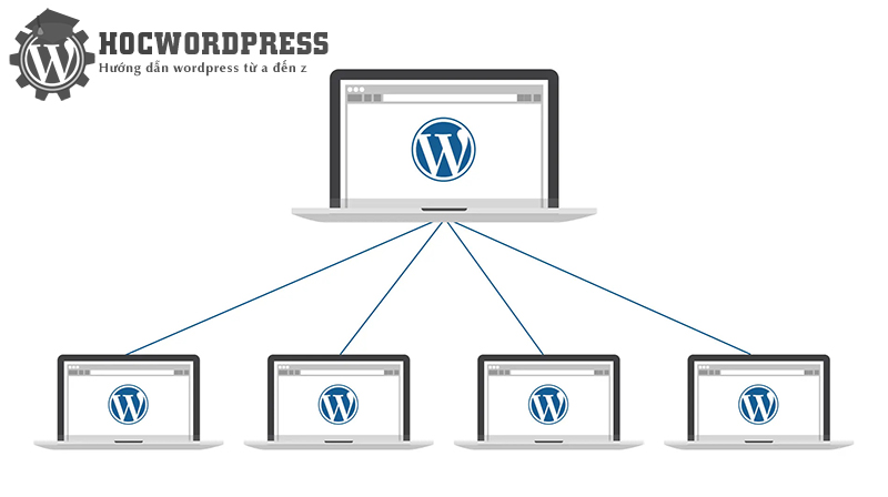 WordPress Multisite là gì? 6 bước cài đặt nhanh nhất
